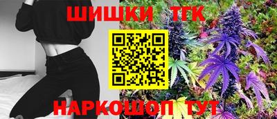 индика Будённовск