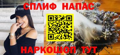 индика Будённовск