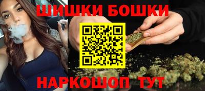индика Будённовск