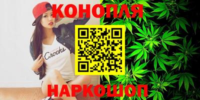 индика Будённовск